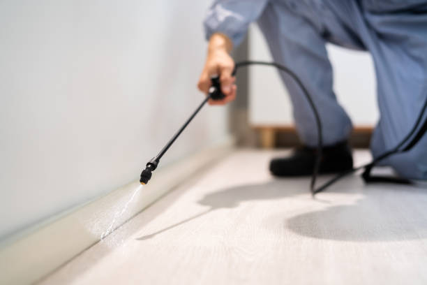 Bed Bug Pre-Treatment Preparation Assessment in Shawsville