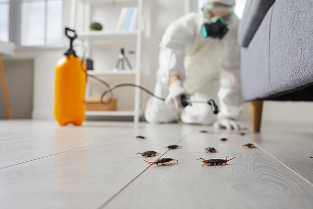 Post-Treatment Bed Bug Interceptor Monitoring in Shawsville