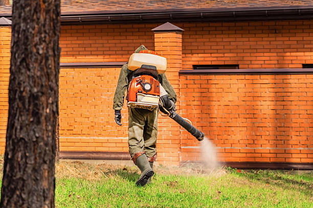 Bed Bug Clearance Verification and Documentation in Shawsville